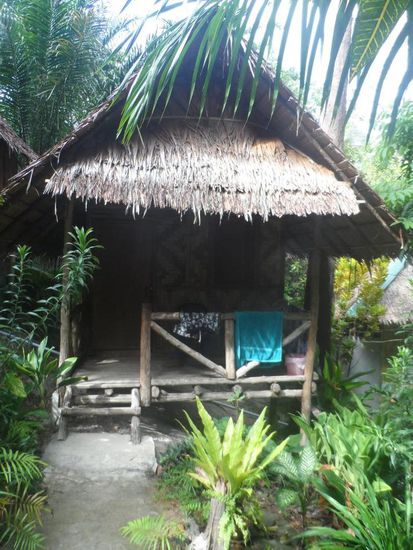 Meine Huette im Dschungel