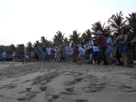 Auf die Plaetze, fertig, los....