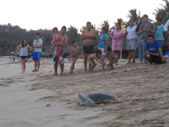 nur noch ein paar Meter...