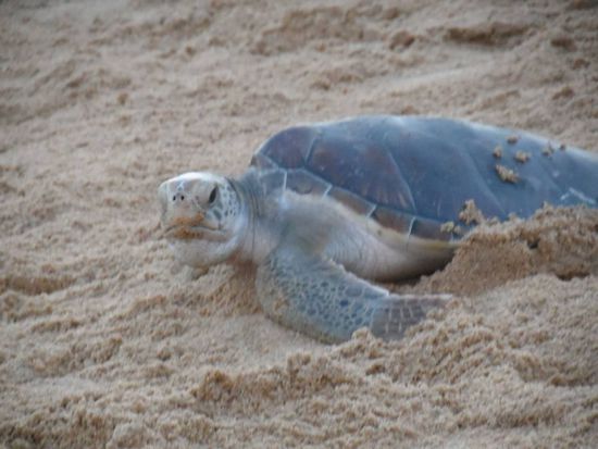 aber da ist natuerlich noch Zeit fuer einen kurzen abwertenden Blick fuer die Presse