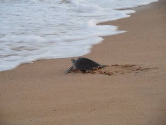 dann aber doch auf zum Endspurt 