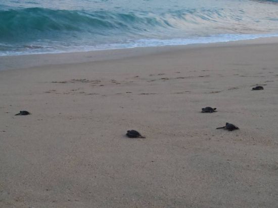 und zum Schluss noch der Kindergarten 