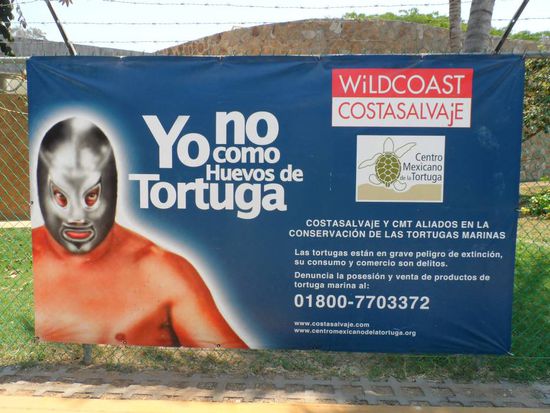 "Ich esse keine Schildkroeteneier" (die sind in Mexiko eine Delikatesse und werden trotz Verbot immer verspeist)