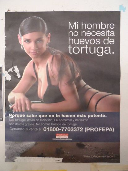 "Mein Mann braucht keine Schildkroeteneier"