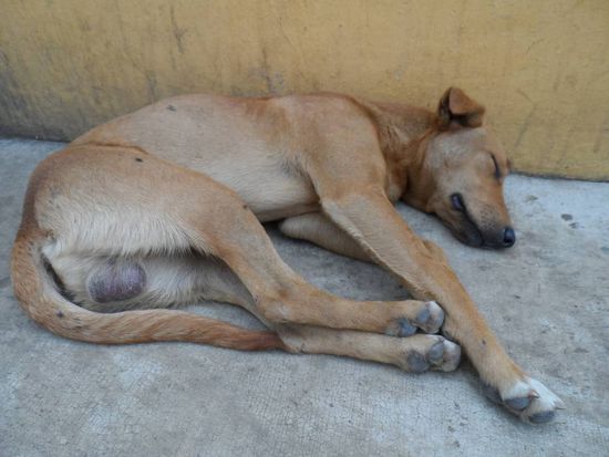 oder schlaeft seinen Rausch auf dem Buergersteig aus