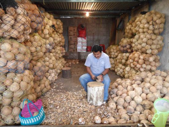 mhhh der hat noch ne Menge Arbeit vor sich.........