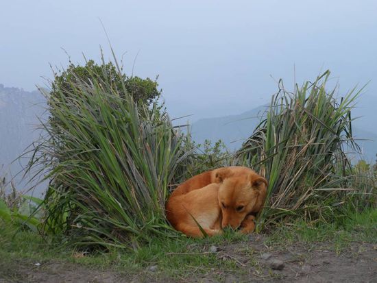 Warten auf den naechsten Ausbruch - wenn man sich nicht bewegt ist es ganz schoen kuehl. Da sucht man sich am besten ein geschuetztes Plaetzchen.