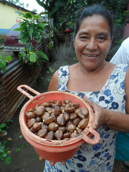 Diese nette Nachbarin hat mir ein paar Maronen angeboten *lecker* 
Wahsinn die Leute haben nix und geben einem davon auch noch etwas ab.