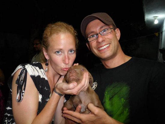 Wir freuen uns ueber die Geburt unseres Sohnes "Hans Pit Bull". Er ist jetzt 2 Wochen alt und Mutter und Sohn sind wohlauf 