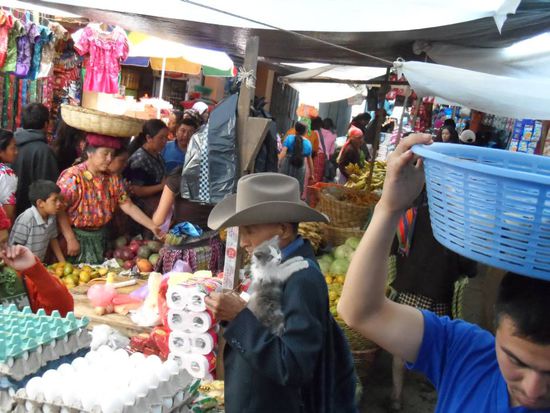 Suchbild: Na wo ist die Katze? 