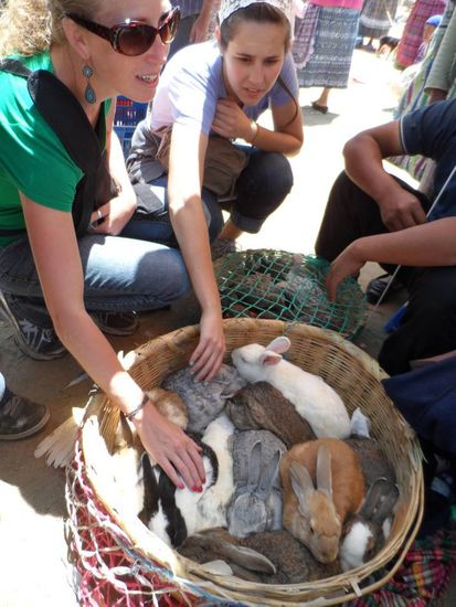 Kaninchen und vieles mehr.......
