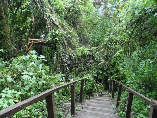 ups gut das der nicht heute runter gefallen ist