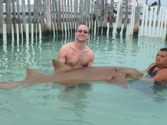 Die Haut eines Hais fuehlt sich echt krass an 