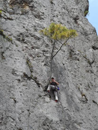 So hier war dann auch bald Endstation fuer mich. Egal meine erste 7er Route am Fels 