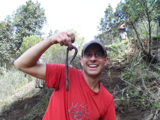 Das ist mal ein Regenwurm 