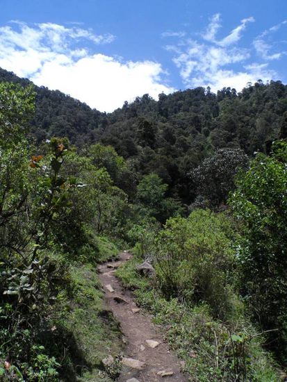 Doch erstmal ist wandern angesagt. Mit einer Hacke auf der Schulter gar nicht so einfach.