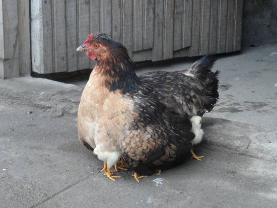 Ist halt ne super geschuetzte Unterstellmoeglichkeit bei Regen