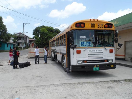 Wunderbar Chickenbusse gibt es auch in Belize