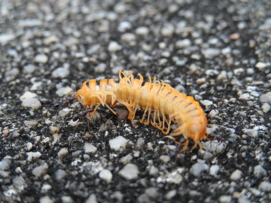 und falls es doch passiert wird er sofort beseitigt