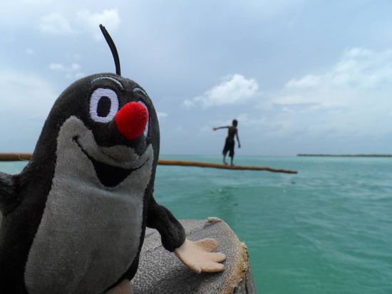 Der Maulwurf am "Split" der einzigen Stelle auf der Insel wo man nett schwimmen kann. Der Split ist das Resultat eines Hurricanes der die Insel geteilt hat.
