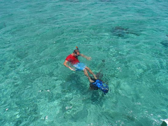Ja der Schwarze Punkt unter meinen Flossen ist ein Hai 
