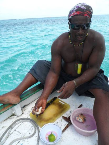 Hier werden gerade zwei frische Muscheln zu Ceviche verarbeitet