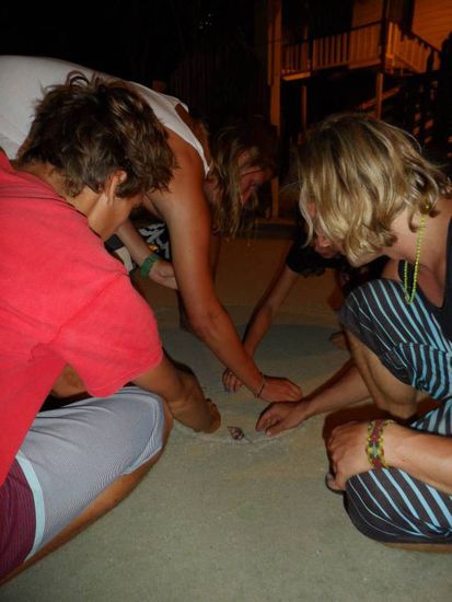 Auf die Plaetze, fertig, los..............