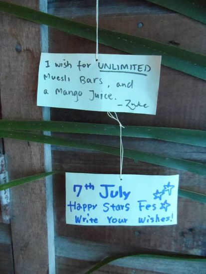 Japanischer Wunschbaum - schon toll was man Dank der vielen Traveller alles so von anderen Kulturen mitbekommt