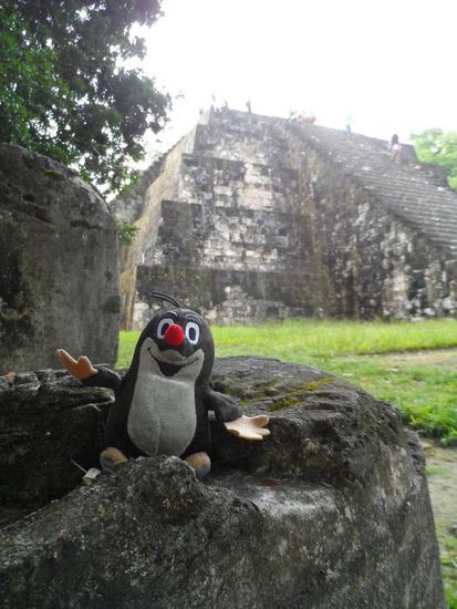 Ach ja Ruinen gibt es ja auch noch in Tikal