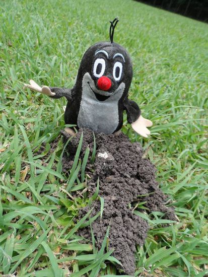 oh ein Maulwurfhuegel