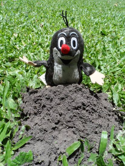 oh je der fremde MAulwurf wird von den eigentlichen Bewohnern attackiert