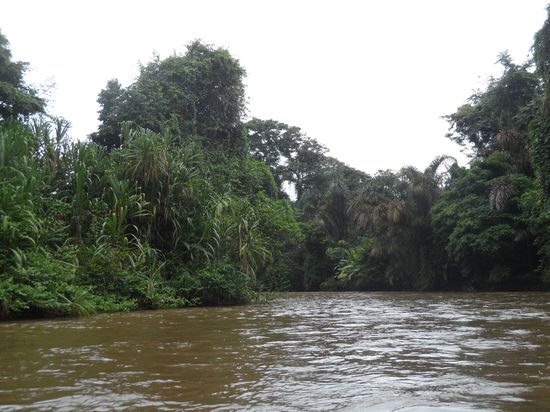 Bootsfahrt nach Tortuguero