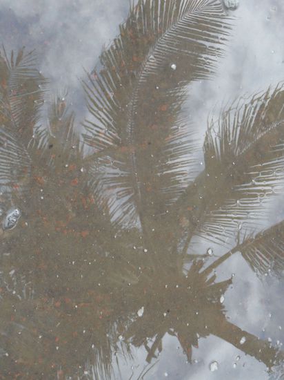 Ach ja und Regen gibt es wirklich jeden Tag. Aber dafuer wenigstens auch ein paar nette Fotomotive.