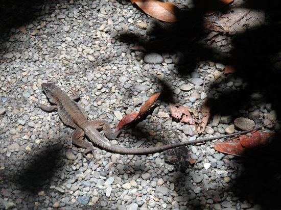 Ah schoen so ein Sonnenbad