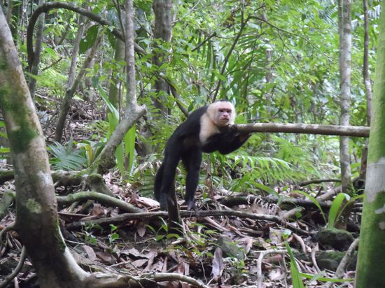 einfach mal ein bisschen abhaengen