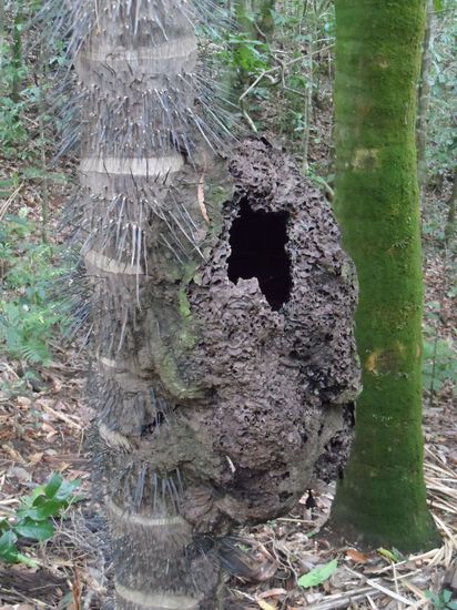 Wer hier wohl wohnt?