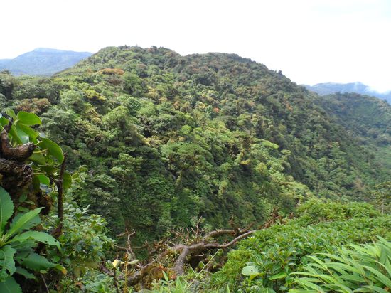 Monteverde Nationalpark