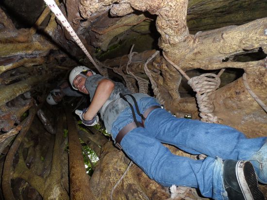und zum zweiten Mal IN einem Baum rauf klettern