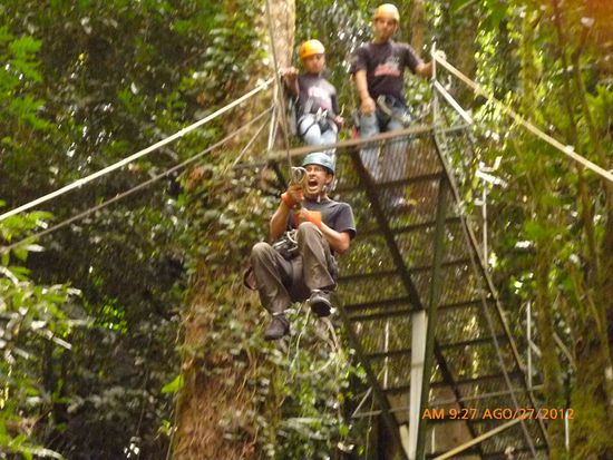 Tarzan Swing - Ohne Worte