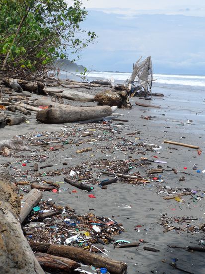 Nach vielen schoenen Straenden kommen wir am Playa Grande (grosser Strand) an. Was fuer eine Enttaeuschung - Treibholz und Muell so weit das Auge blicken kann. Also schnell wieder zurueck zu einem der schoenen Straende.....
