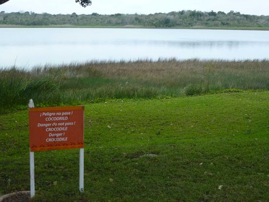 Das Schild steht nicht zum Spass dort. An der Uferpromenade haben wir ein (allerdings totes) Exemplar gesehen.