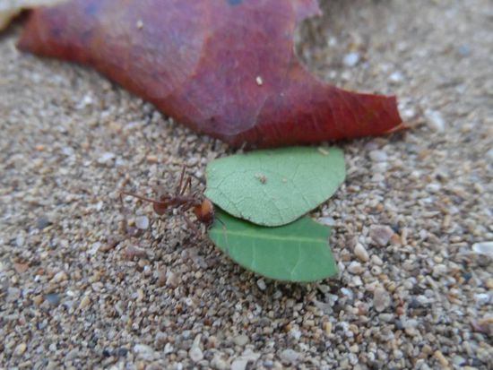 Ah die erste faengt wieder an zu arbeiten