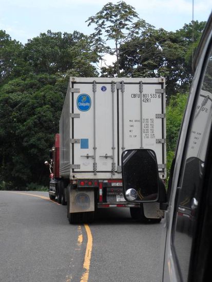 Ueberall duftet es nach Bananen