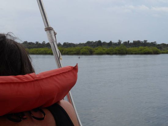 Na wer  findet den Delphin...?