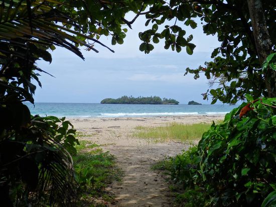 Turtle Beach, 2min entfernt und ohne Leute