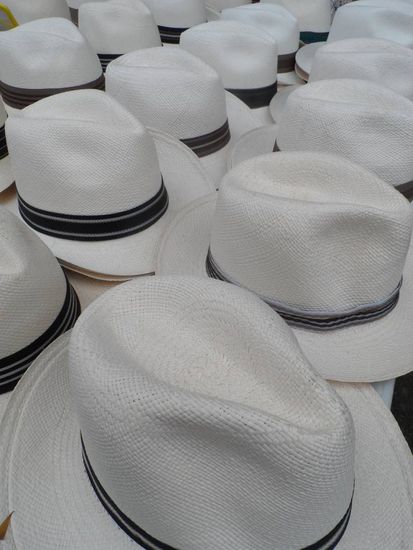 Der "Panama Hut" der eigentlich aus Ecuador kommt