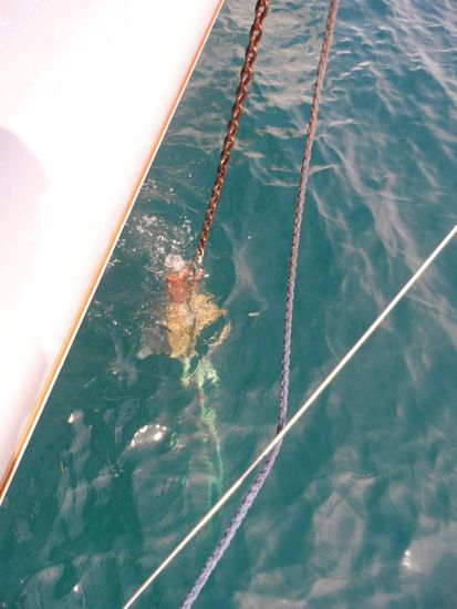 Ui was haben wir den da am Haken?