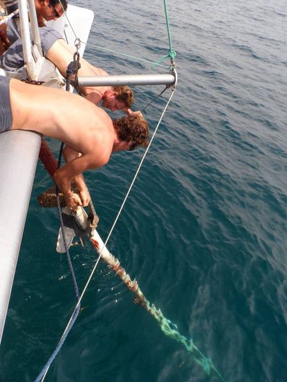 Und wieder zurueck ins Meer damit