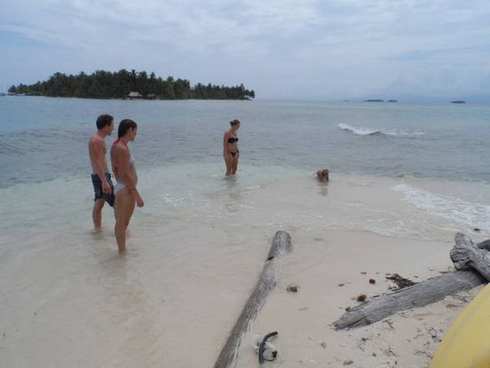 Der Hund kommt auf die Insel