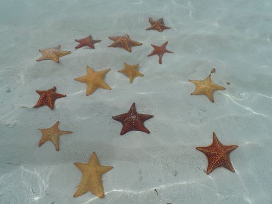 Das ist ja total unordentlich.......